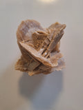 Sandrose